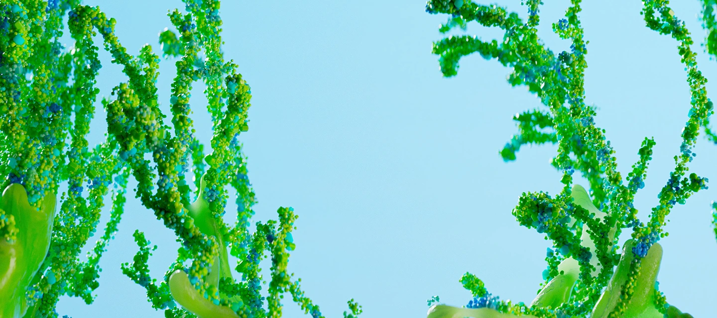 Bloom Visual 10